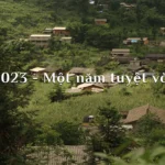 2023 một năm tuyệt vời