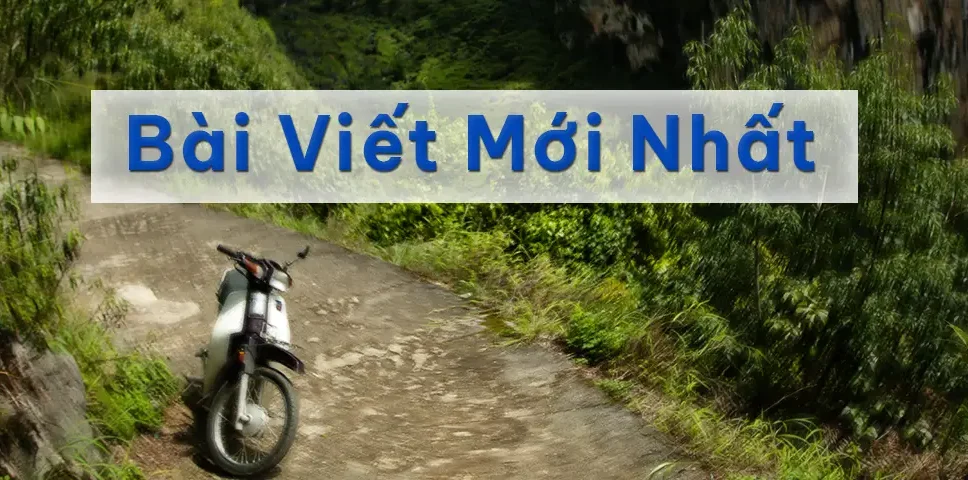 Bài viết mới nhất banner
