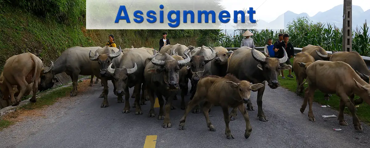 assignment tag banner