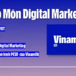 Assignment nhập môn digital marketing của Vinamilk - FPT Polytechnic - DOM101- Baotqph31133