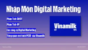 Assignment nhập môn digital marketing của Vinamilk - FPT Polytechnic - DOM101- Baotqph31133