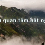 sự quan tâm bất ngờ hero
