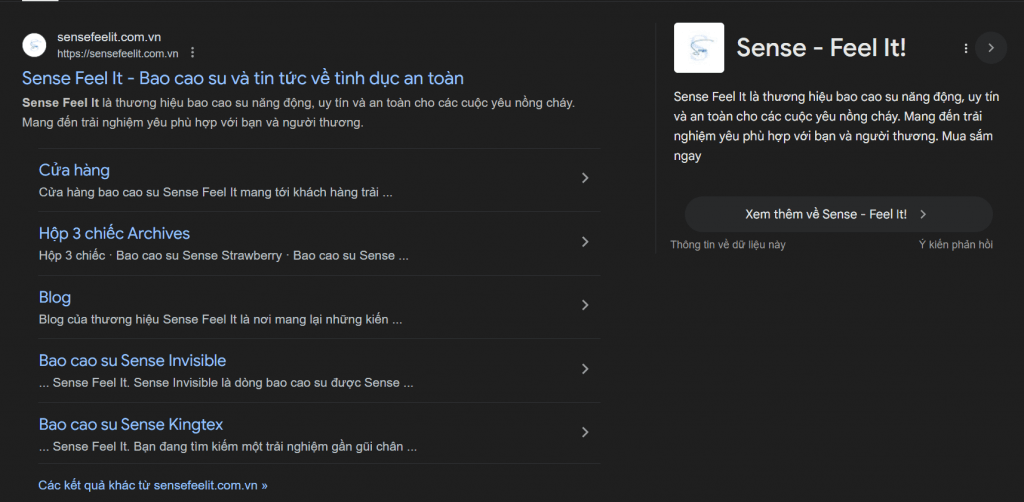 SERP của website sau khi lập chỉ mục 1 tháng