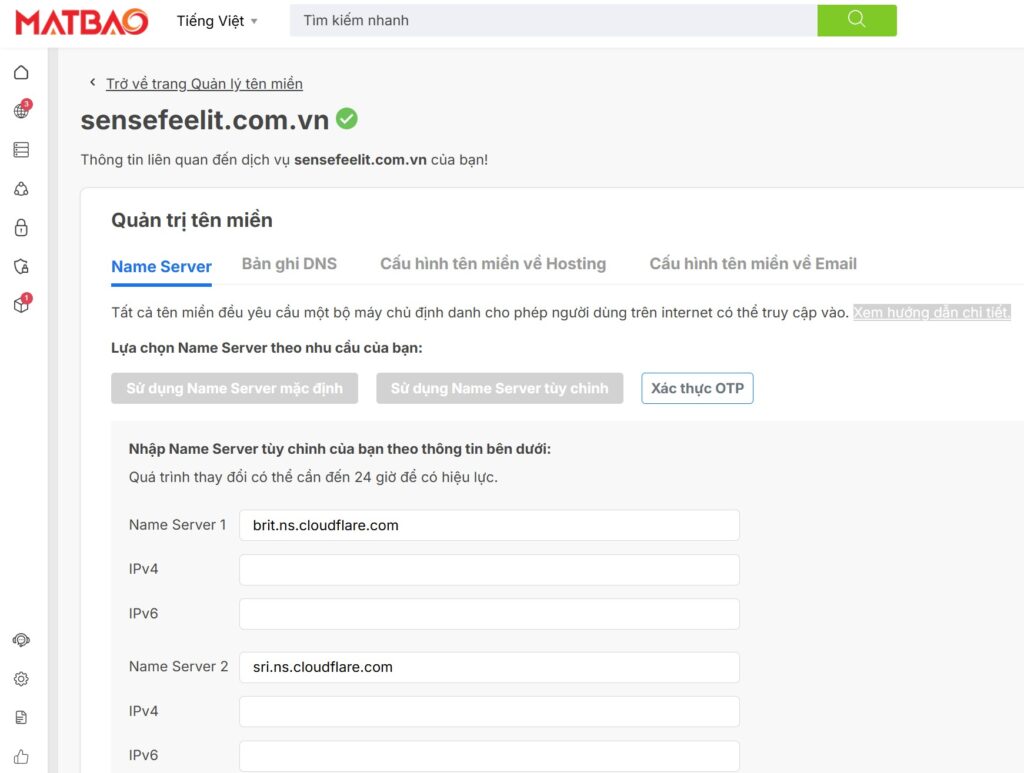 lựa chọn Name Server cho tên miền sensefeelit.com.vn