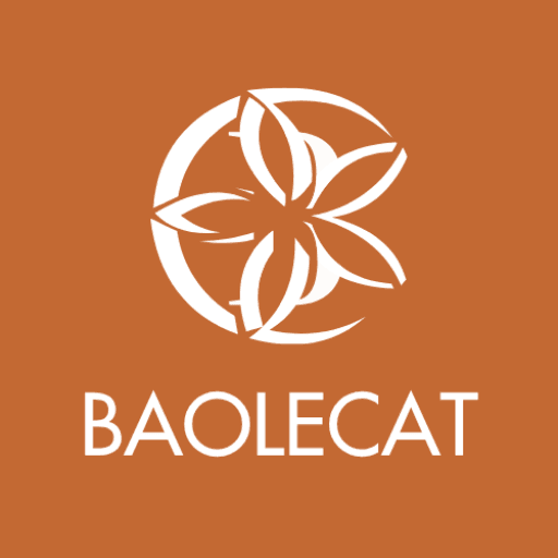 Bao Tran Blog