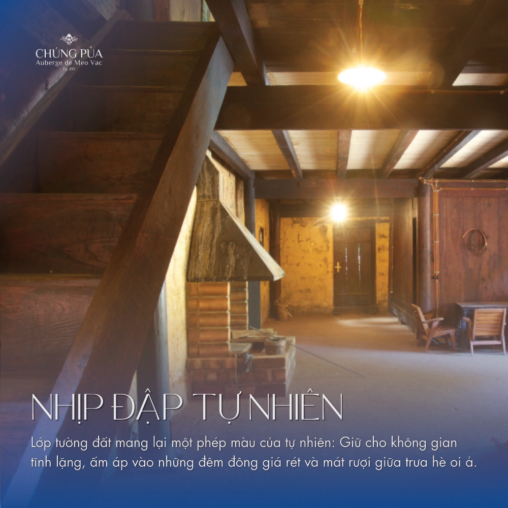 Nhịp đập tự nhiên